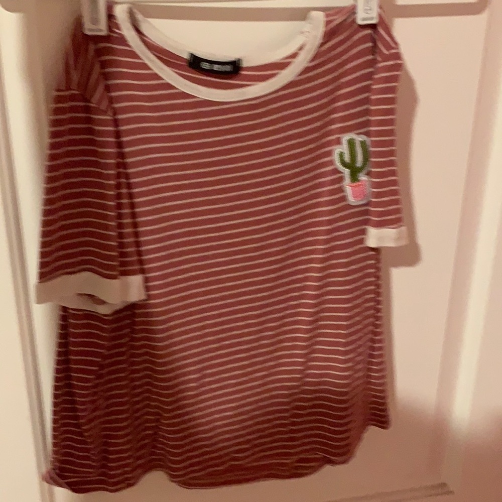 Pink Crop with Small Cactus